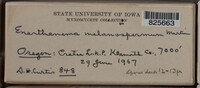 Image Associated With the Occurence